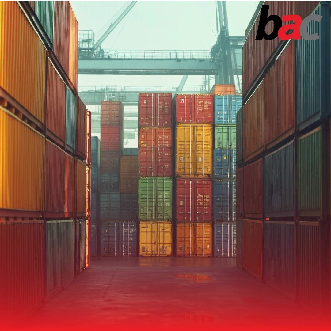 Why Choose Professional Customs Clearing Services | BAC Logistics